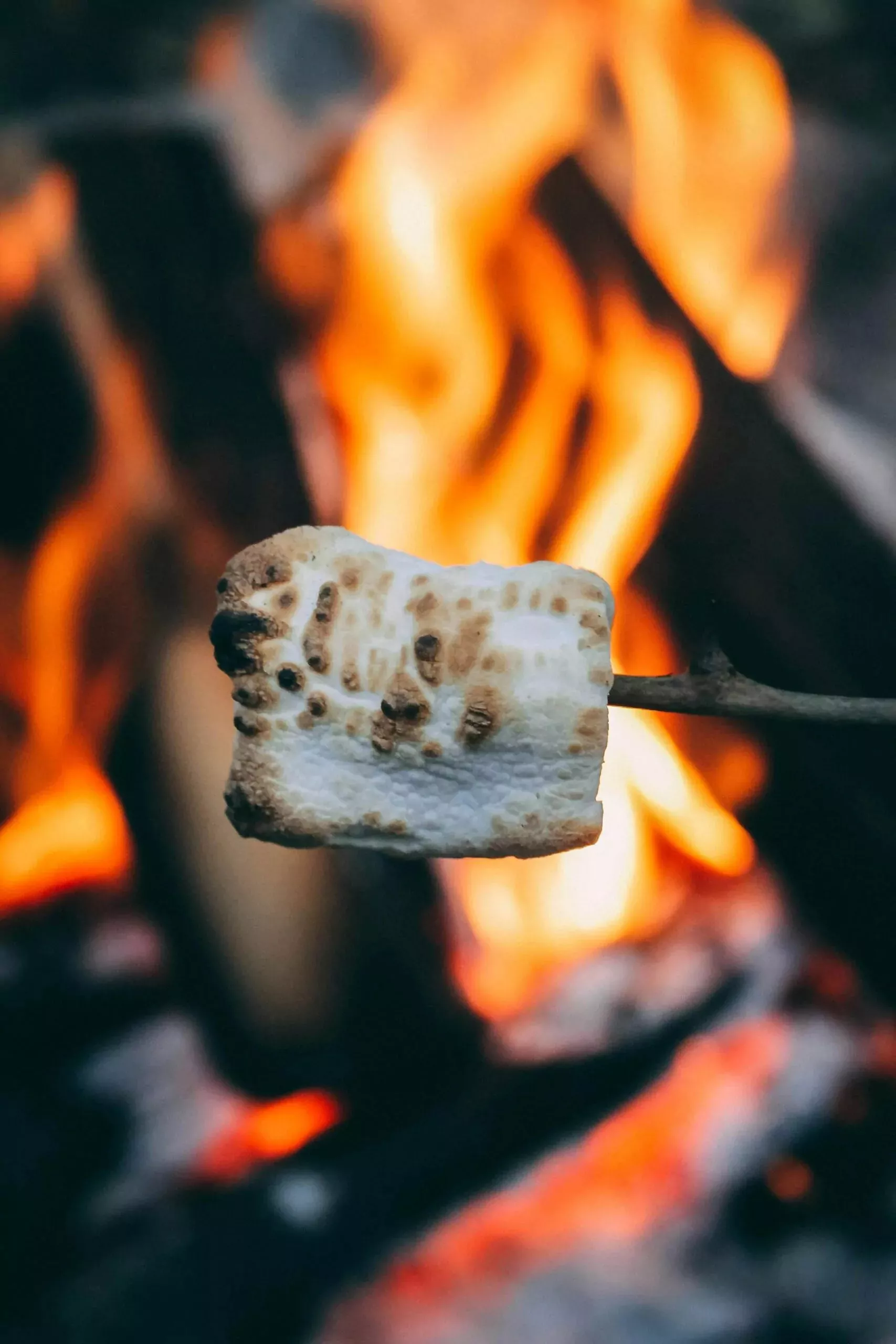 A toasted marshmallow on a stick held over a campfire at Billing Aquadrome.