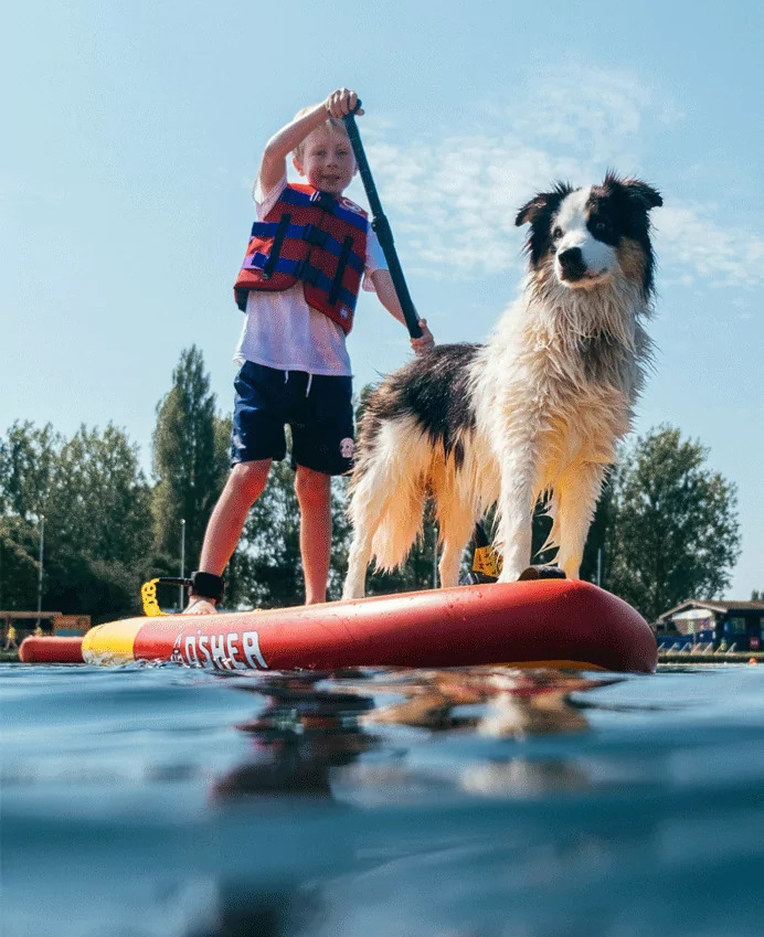 Child paddleboarding with a wet dog standing on the board at Billing Aquadrome.
