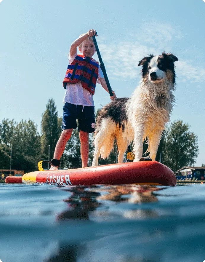 A young boy wearing a life jacket paddles on a red stand-up paddleboard, accompanied by a wet, fluffy Border Collie standing beside him. The water is calm and blue, reflecting the sunny sky.