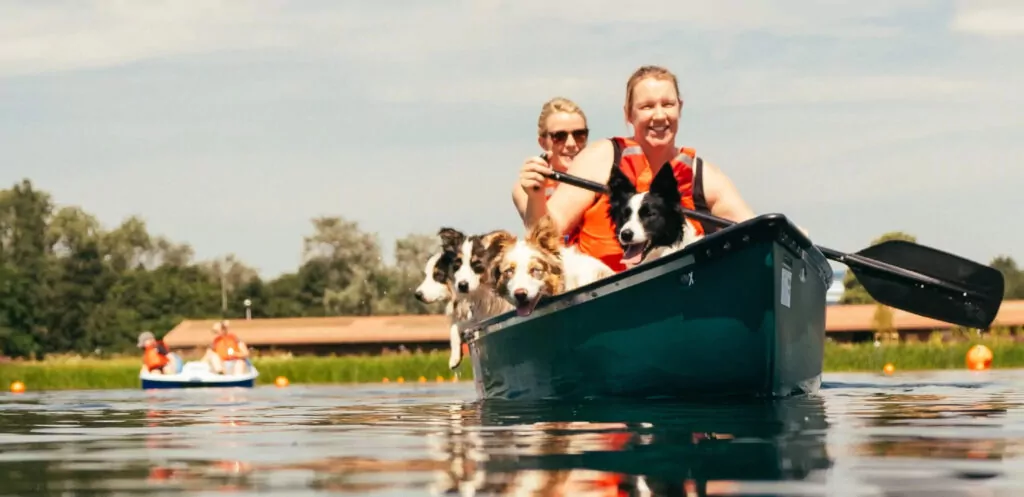 Guests enjoying a dog-friendly canoeing experience on the lake at Billing Aquadrome, part of Meadow Bay Villages.