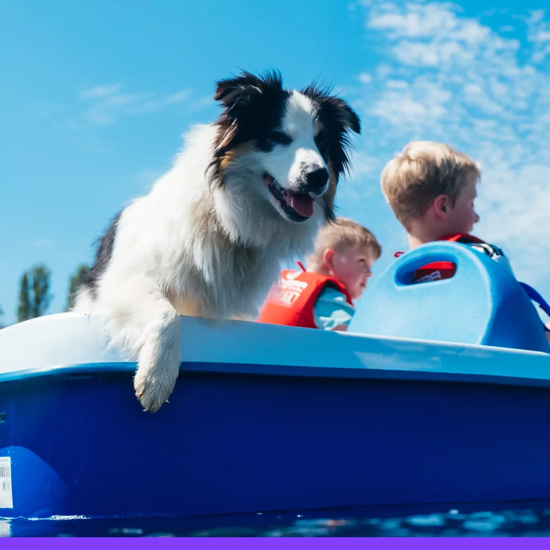 Activities and Entertainment