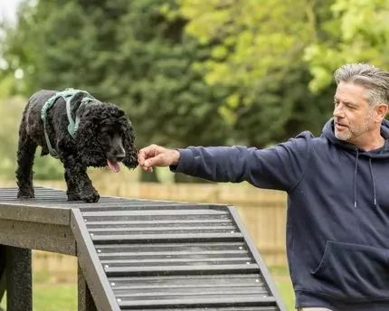 Guest guiding their dog through the agility equipment at the dedicated dog park at Billing Aquadrome, part of Meadow Bay Villages.