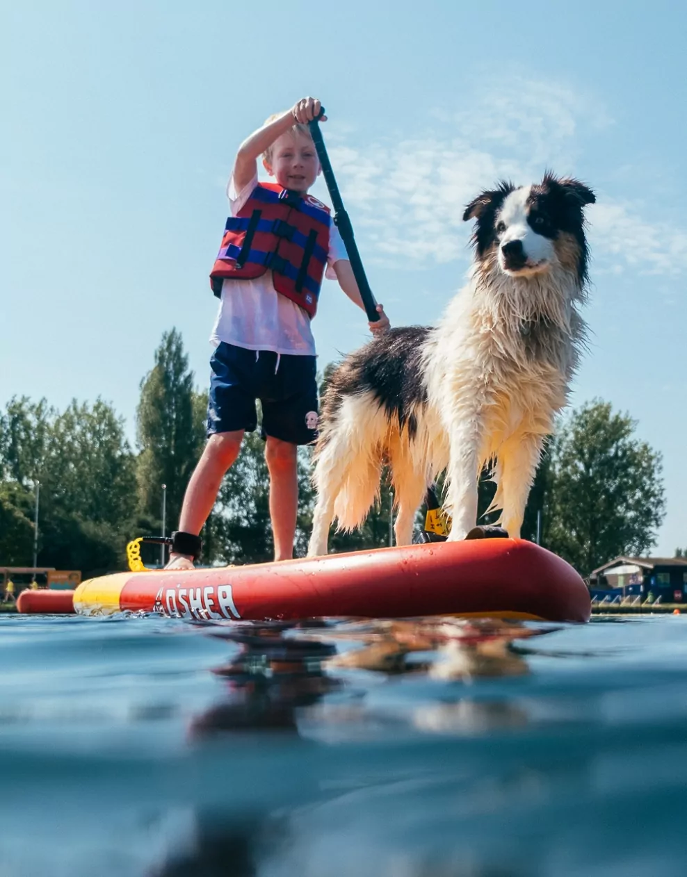 Child paddleboarding with their dog on the lake at Billing Aquadrome.