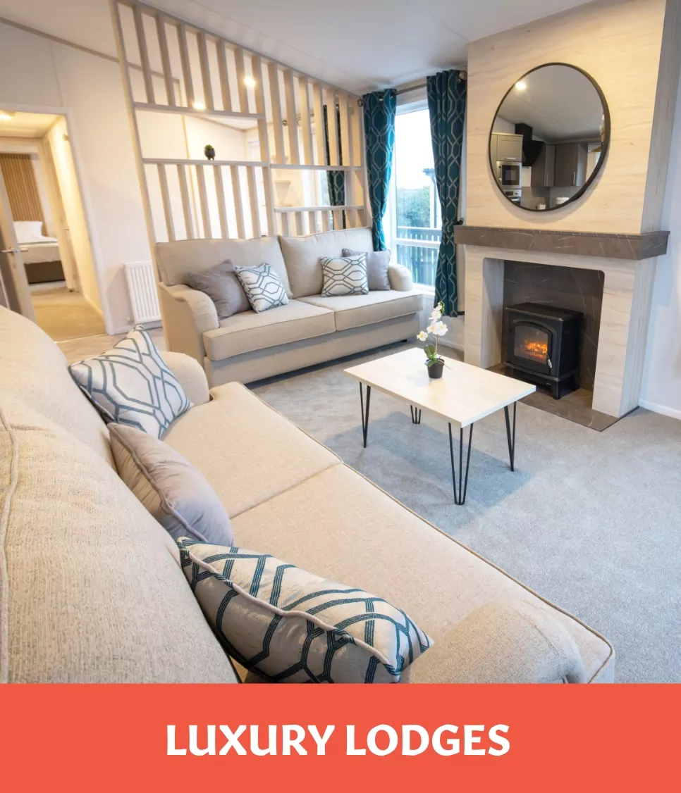 Stylish living room with a contemporary fireplace in a luxury lodge for sale at Golden Leas