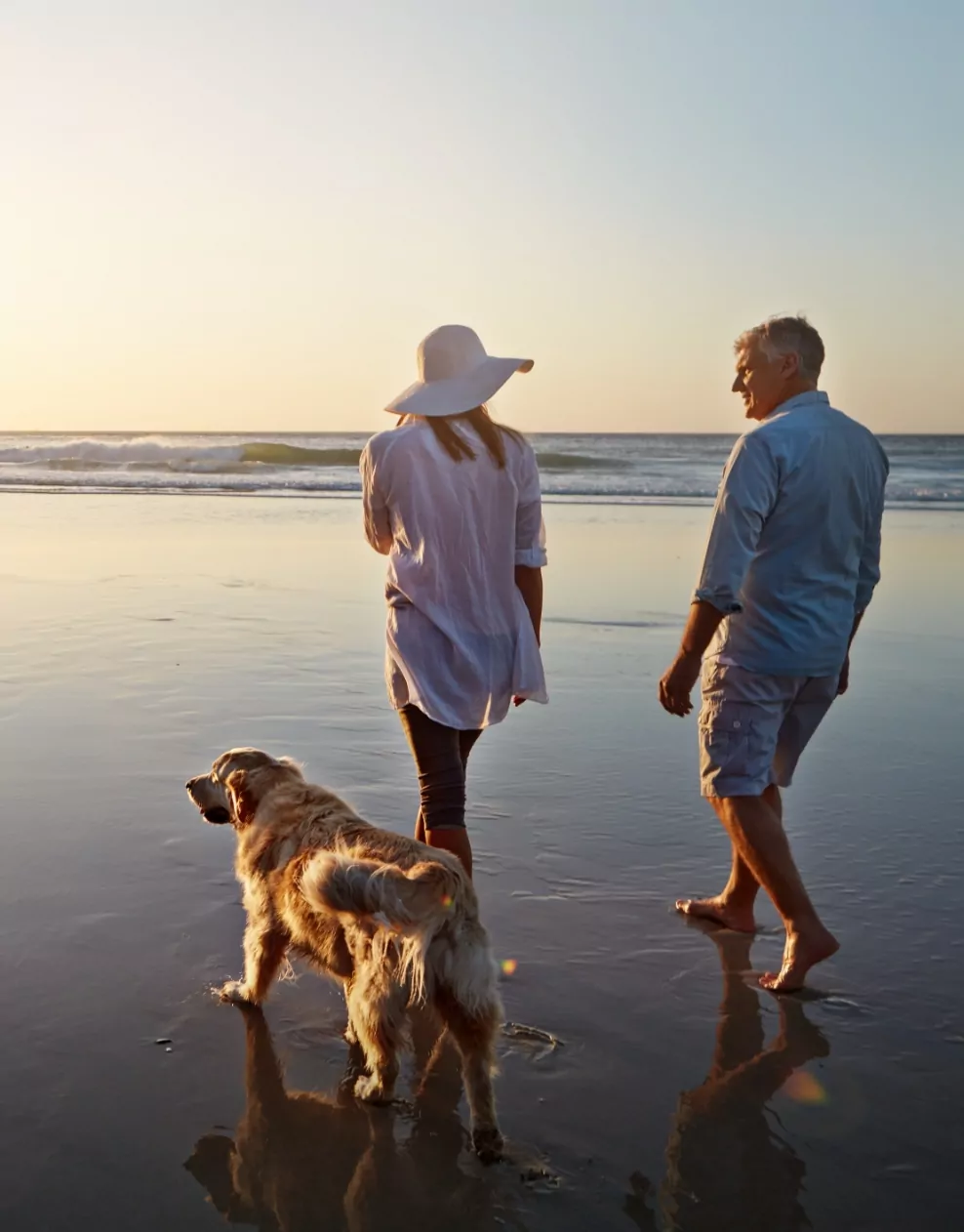 A couple walking their golden retriever along the beach at sunset near Golden Leas