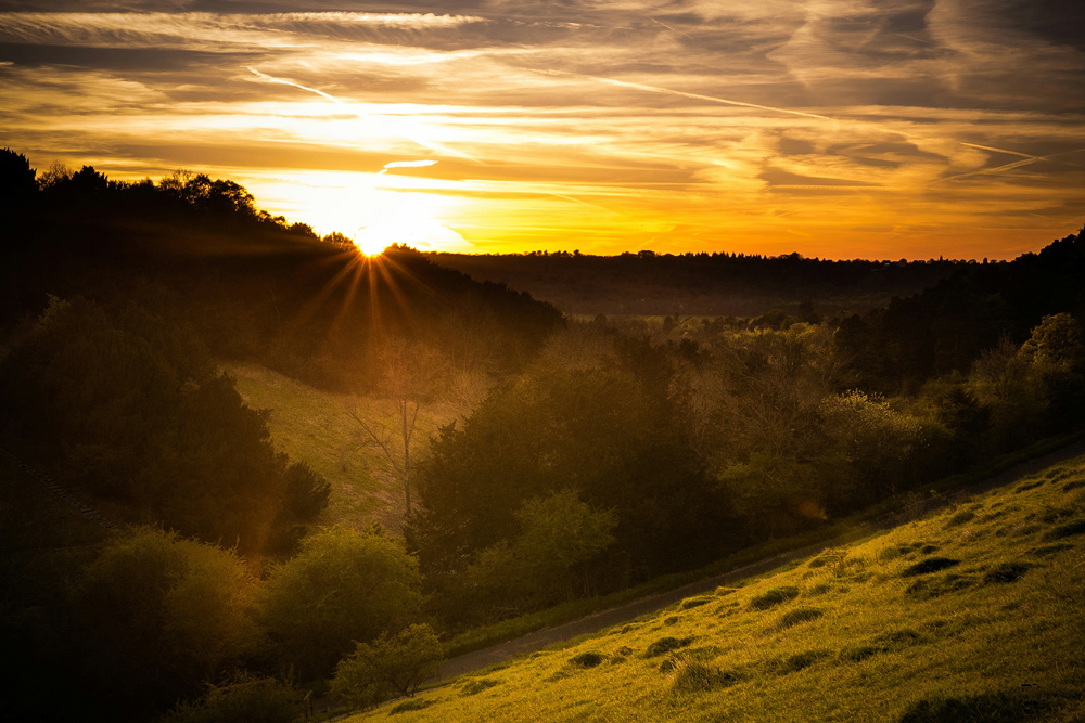 A dramatic golden and orange sunset over the rolling Surrey Hills countryside near Henfold Lakes.