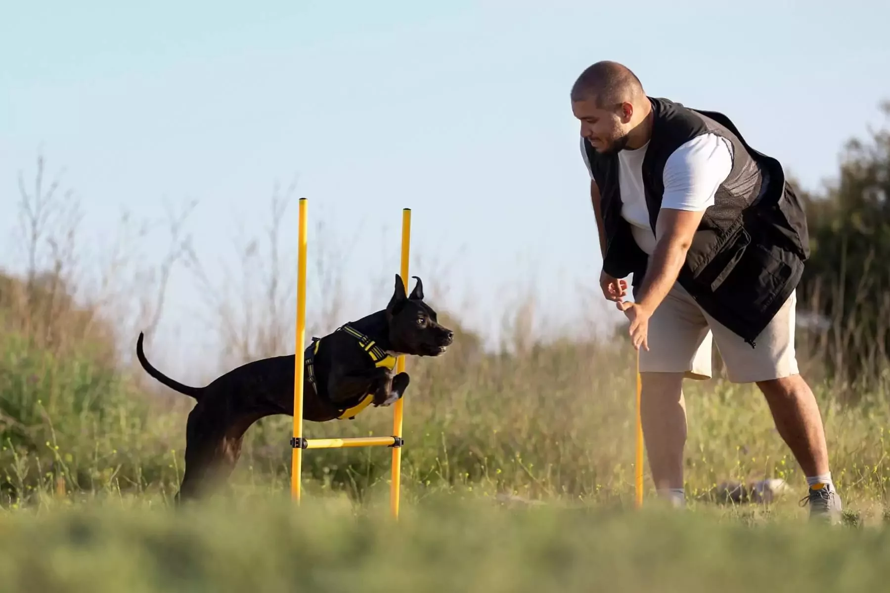 Man training a black dog to jump through an agility obstacle outdoors at a holiday park, surrounded by long grass and clear skies.