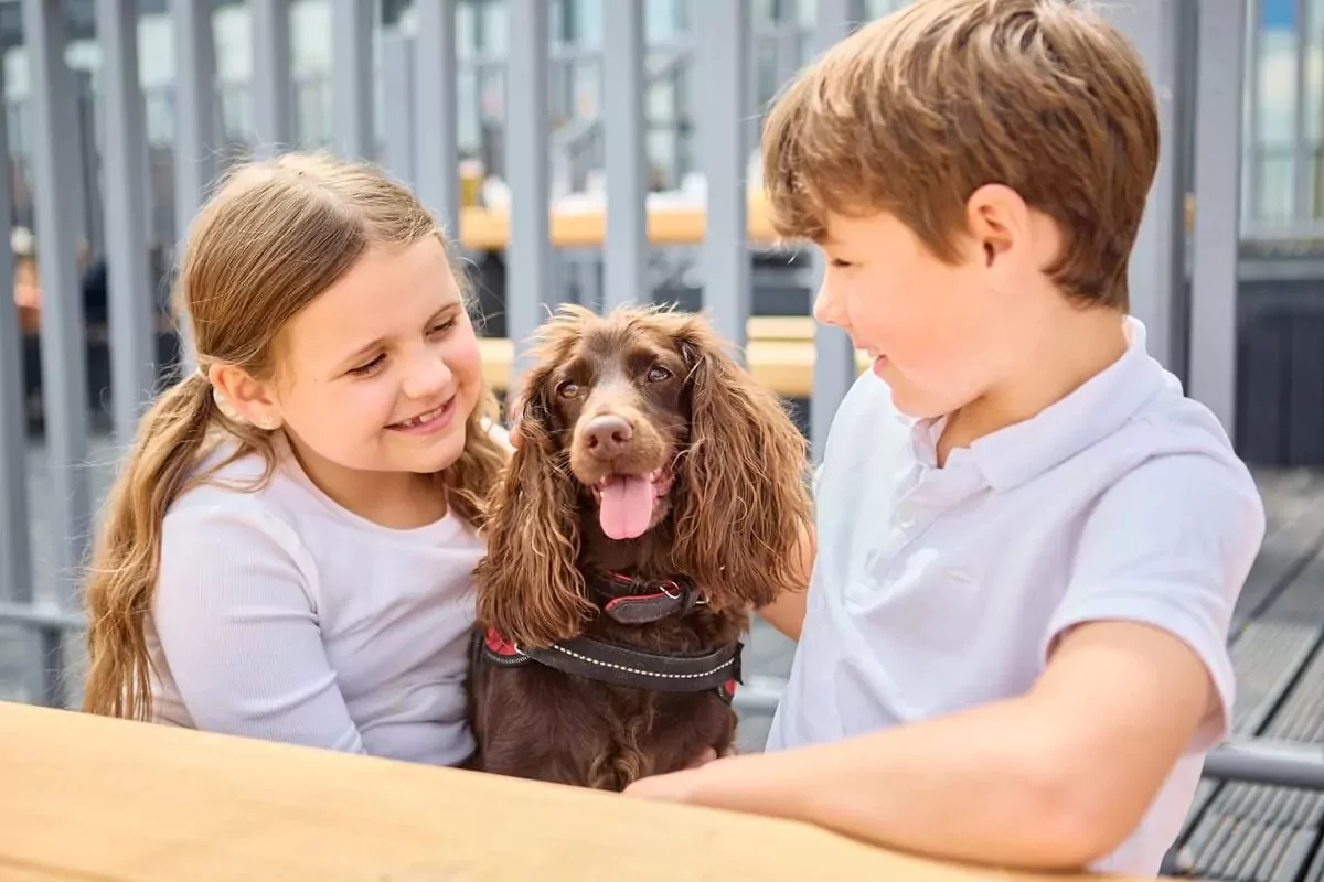 Two smiling children cuddling a happy brown spaniel dog while sitting at an outdoor picnic bench at a pet-friendly holiday park.