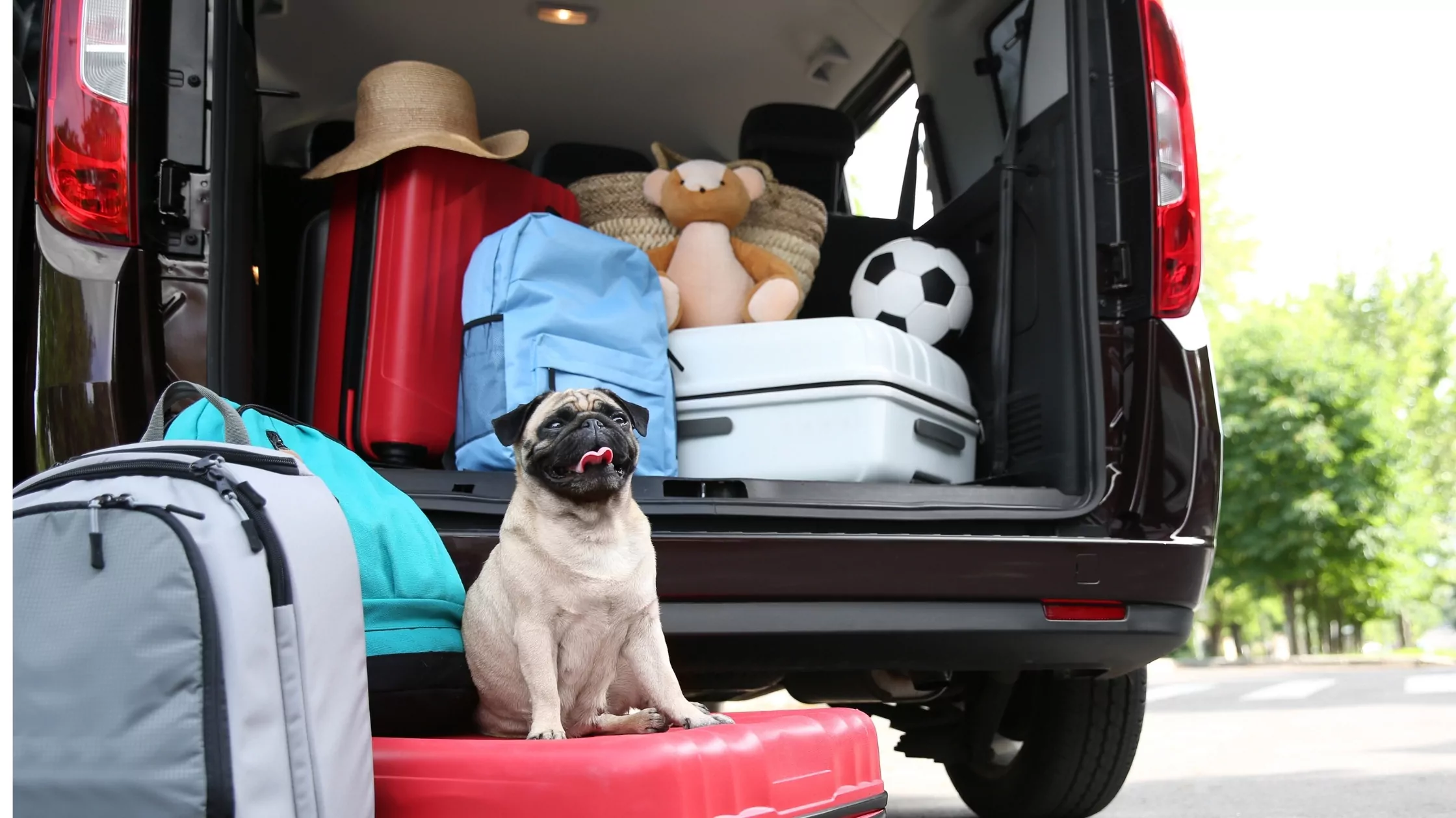 Car Boot Packed for a Family Holiday