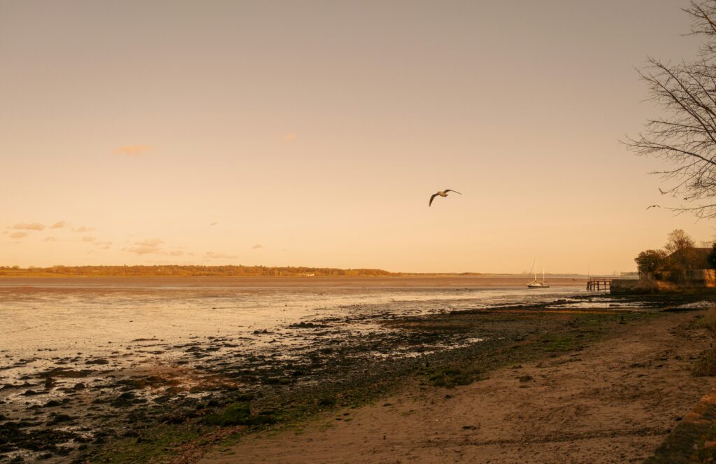 The beach at sunset