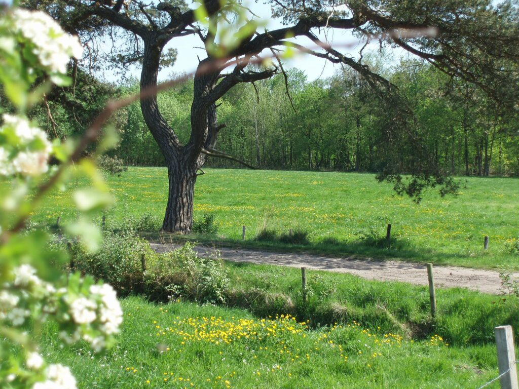 Northamptonshire Country Park