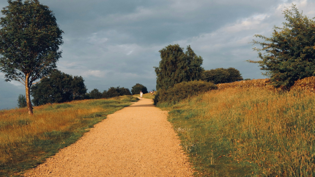 Staunton Country Park
