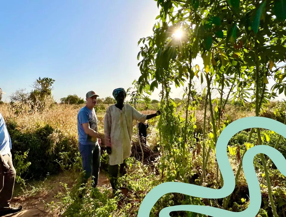 Local farmer and visitor shaking hands while examining trees on a sunlit farm with stylized plant graphics.