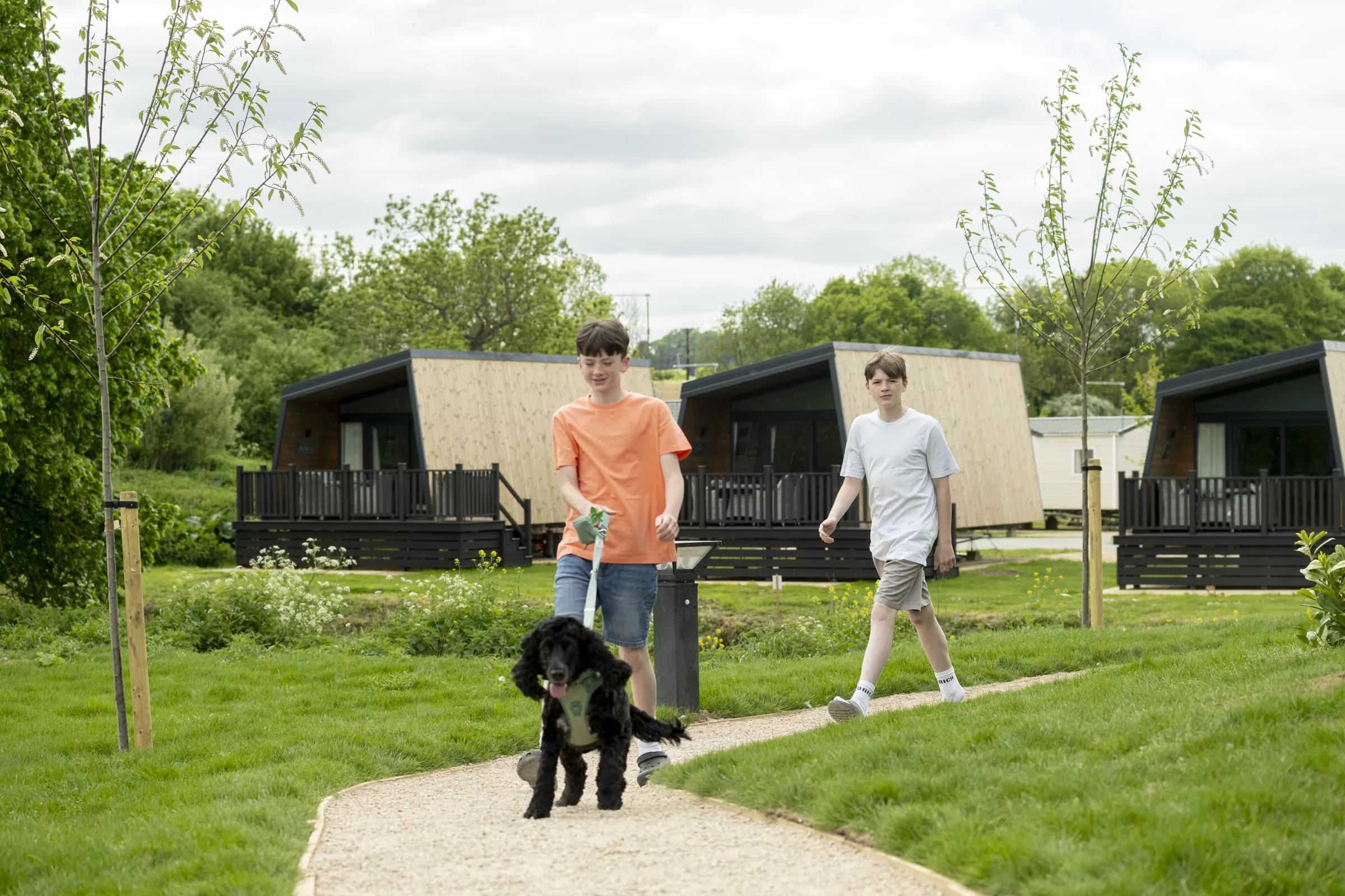 Two boys walking a black dog along a path near modern timber holiday lodges surrounded by greenery.
