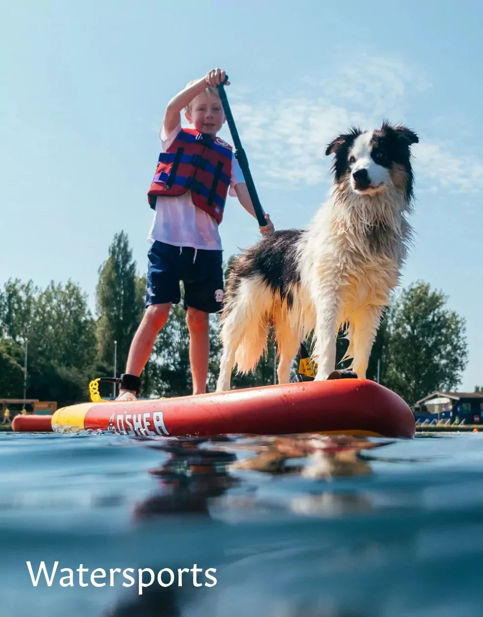 A child paddleboarding with a wet dog on a sunny day, enjoying watersports at Meadow Bay Villages.