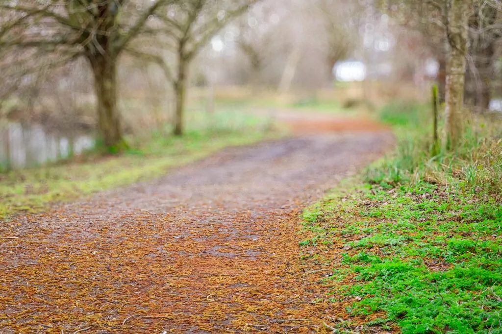 Country Park Trail in Northamptonshire