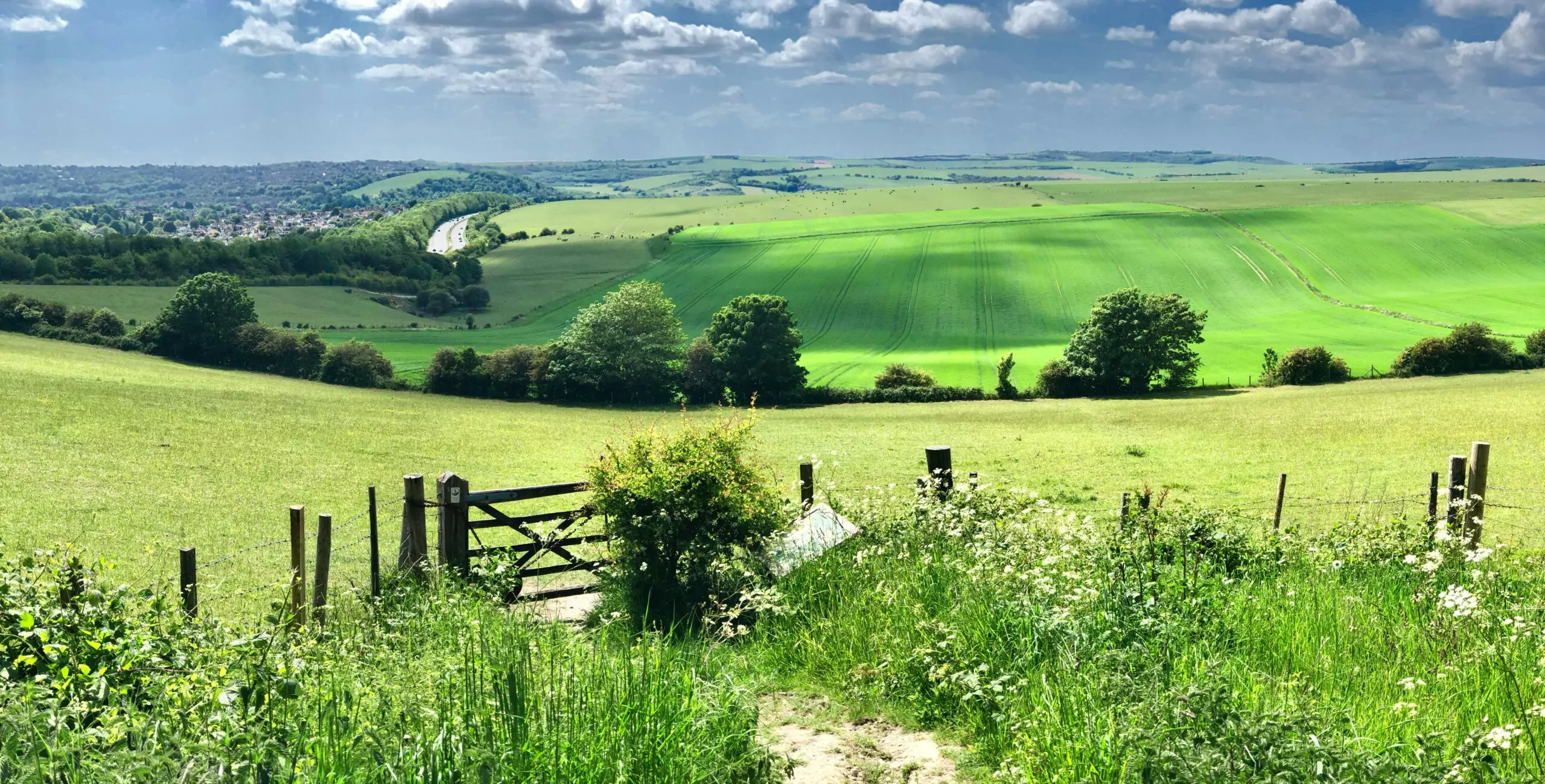 South Downs Walking Trail
